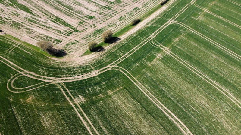 Arable Farms